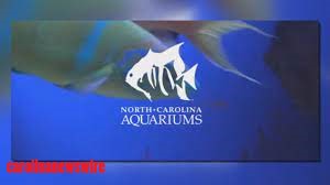 NC Aquariums Menjadi Yang Teratas di USA Today’s Readers ‘Choice Awards